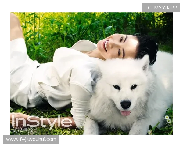 萌宠上阵踢足球爆笑变形瞬间欢乐不断尽显运动新风潮